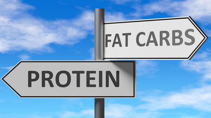 Protein and fat carbs as a choice - pictured as words Protein, fat carbs on road signs to show that when a person makes decision he can choose either Protein or fat carbs as an option, 3d illustration