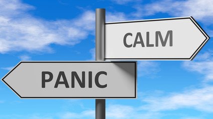 Panic and calm as a choice - pictured as words Panic, calm on road signs to show that when a person makes decision he can choose either Panic or calm as an option, 3d illustration