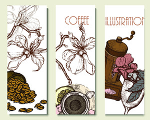 Coffee illustration. Hand drawn vector banner. Coffee beans, flower, branch, bag