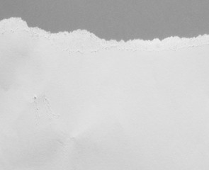 Obraz premium torn paper on gray background with copy space for text