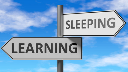 Obraz premium Learning and sleeping as a choice - pictured as words Learning, sleeping on road signs to show that when a person makes decision he can choose either Learning or sleeping as an option, 3d illustration