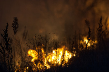 Dry grass burns at night. Pastures and meadows in the countryside. An environmental disaster involving irresponsible people. Luxurious mystical night landscapes shot on a 300mm lens.