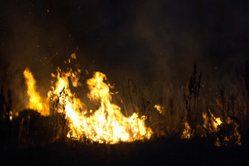 Dry grass burns at night. Pastures and meadows in the countryside. An environmental disaster involving irresponsible people. Luxurious mystical night landscapes shot on a 300mm lens.