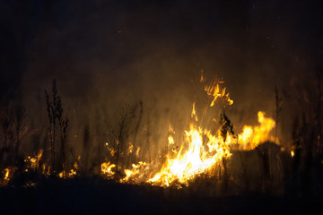 Dry grass burns at night. Pastures and meadows in the countryside. An environmental disaster involving irresponsible people. Luxurious mystical night landscapes shot on a 300mm lens.