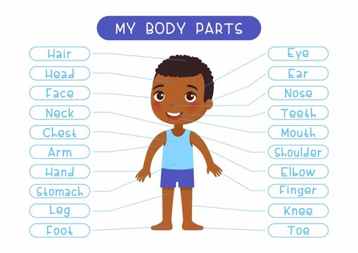My body parts educational infographic kids poster vector template. Cute girl showing external organs names. Cartoon anatomy childish printable banner design, english words learning card layout