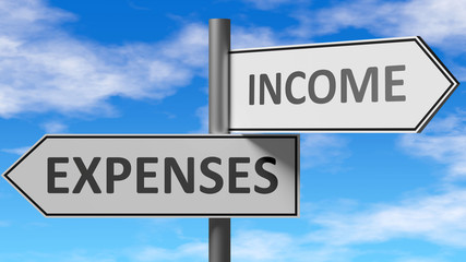 Expenses and income as a choice - pictured as words Expenses, income on road signs to show that when a person makes decision he can choose either Expenses or income as an option, 3d illustration