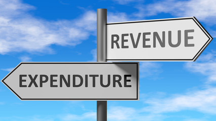 Fototapeta premium Expenditure and revenue as a choice, pictured as words Expenditure, revenue on road signs to show that when a person makes decision he can choose either option, 3d illustration