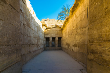 Luxor Temple, Egypt - 321636883