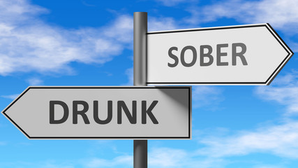 Drunk and sober as a choice - pictured as words Drunk, sober on road signs to show that when a person makes decision he can choose either Drunk or sober as an option, 3d illustration