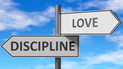 Discipline and love as a choice - pictured as words Discipline, love on road signs to show that when a person makes decision he can choose either Discipline or love as an option, 3d illustration