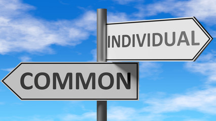 Obraz premium Common and individual as a choice - pictured as words Common, individual on road signs to show that when a person makes decision he can choose either Common or individual as an option, 3d illustration