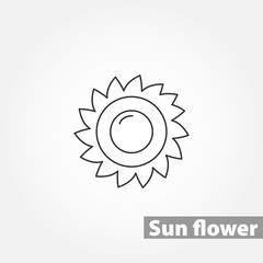sunflower thin line vector icon