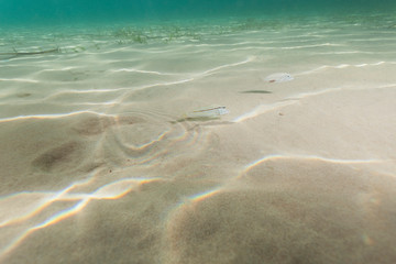 Sand sea bottom of Adriatic Sea, Croatia