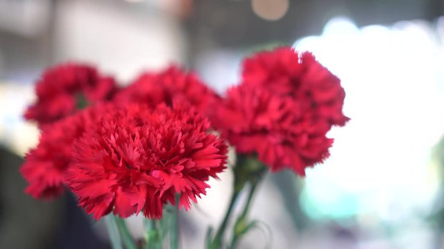  Artificial flower, red carnation flower decoration background in vase glass on desk in restaurant
