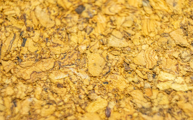 Wood texture lumber closeup pattern. Macro photo