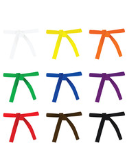 Karate belt set. vector illustration © marijaobradovic