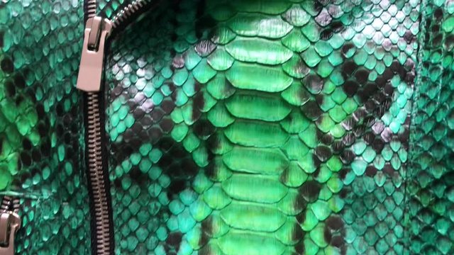 Green snakeskin python texture. Fashion luxury leather jacket close up.