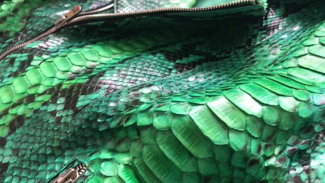 Green snakeskin python texture. Fashion luxury leather jacket close up.