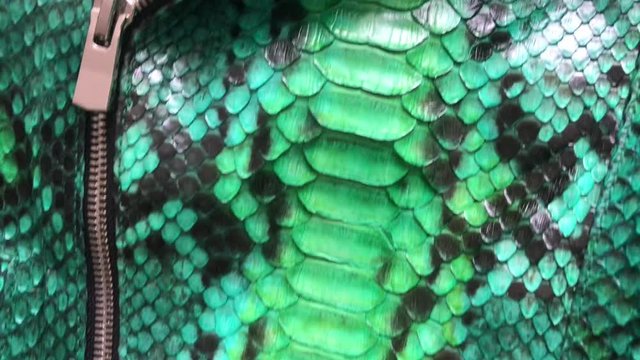 Green snakeskin python texture. Fashion luxury leather jacket close up.