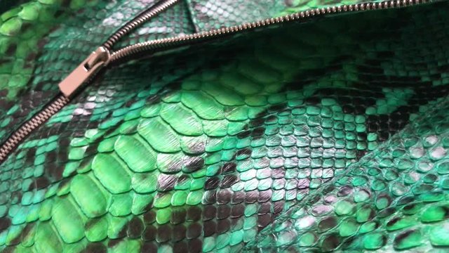 Green snakeskin python texture. Fashion luxury leather jacket close up.