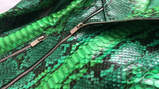 Green snakeskin python texture. Fashion luxury leather jacket close up.