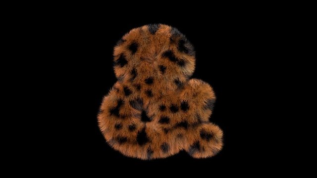 3d animated furry leopard typeface text with alpha channel  ampersand
