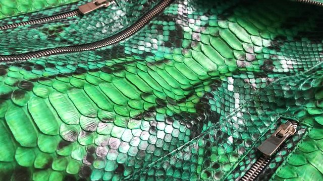 Green snakeskin python texture. Fashion luxury leather jacket close up.