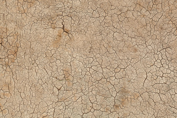 Dried and Cracked ground. Cracks on the surface of the earth.