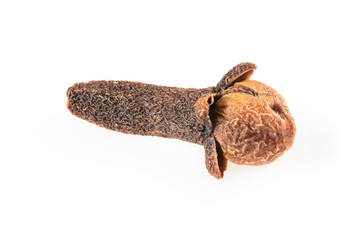 Obraz premium Clove spice. One dried clove, Carnation macro close-up Isolated on white background, with a light shadow.