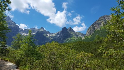 Fototapeta premium Polish mountains
