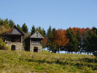 Pieniński Park Narodowy.Barwy jesieni w górach - 321646461