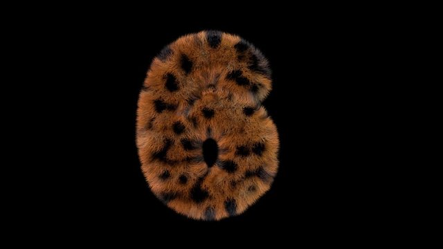 3d animated furry leopard typeface text with alpha channel  6
