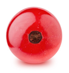 Closeup of red currant berry isolated on a white background.