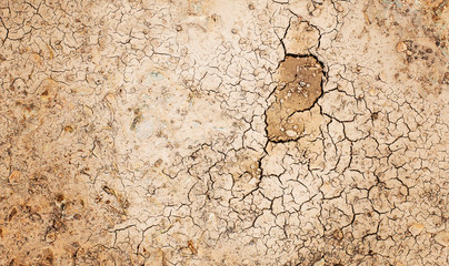 The ground has cracks in the top view for the background or graphic design with the concept of drought and death.