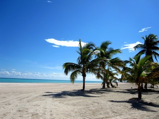 Fototapeta premium Sunny Beach, Caribbean, Dominican Republic