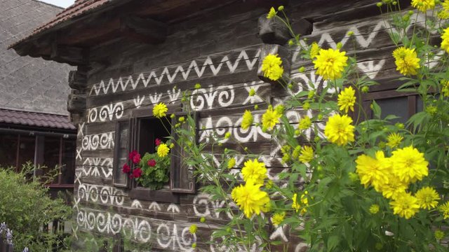 Close-Up of yellow blooming flowers and timber cottage decorated with white folk patterns, Cicmany, Slovakia