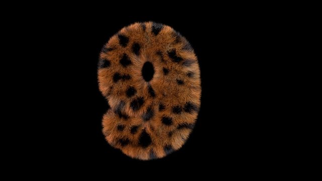 3d animated furry leopard typeface text with alpha channel  9