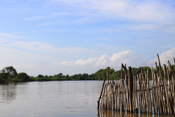 Mare enchendo, plantas crescendo e população comendo. © Adaline