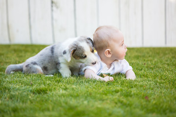 Little baby and corgi puppy