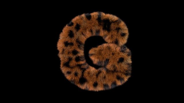 3d animated furry leopard typeface text with alpha channel  G