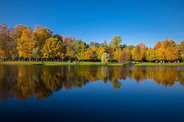 Golden autumn in a beautiful city park. Yellow trees in a mirror reflection of a blue lake. Krestovsky city park. Autumn park with green grass. SPb, Russia, October 17, 2019