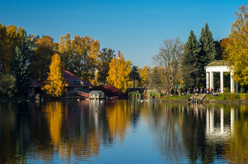 Fototapeta na wymiar Golden autumn in a beautiful city park. Yellow trees in a mirror reflection of a blue lake. Krestovsky city park. Autumn park with green grass. SPb, Russia, October 17, 2019