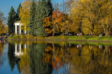 Golden autumn in a beautiful city park. Yellow trees in a mirror reflection of a blue lake. Krestovsky city park. Autumn park with green grass. SPb, Russia, October 17, 2019