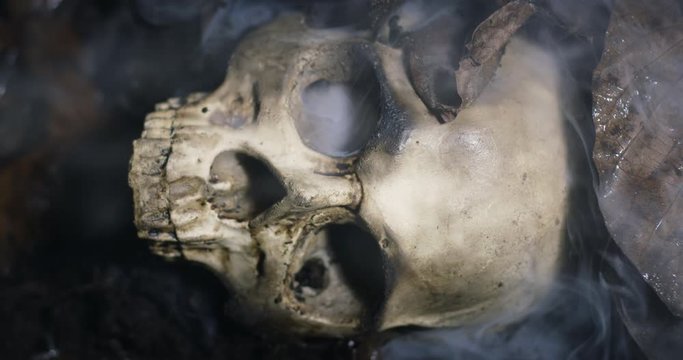 Human skull on the wet soild with smoke flowing