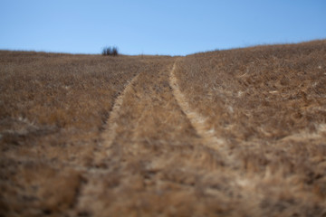 Fototapeta na wymiar pathway do mountain view, CA