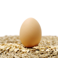 Oat and eggs on white background
