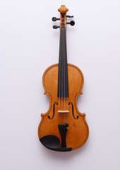 Fototapeta na wymiar Nice golden violin on white background with copyspace for you text