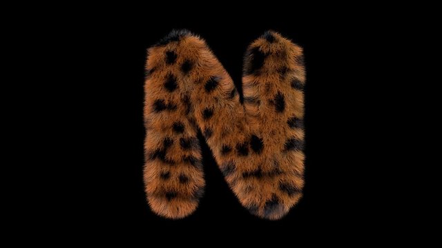 3d animated furry leopard typeface text with alpha channel  N