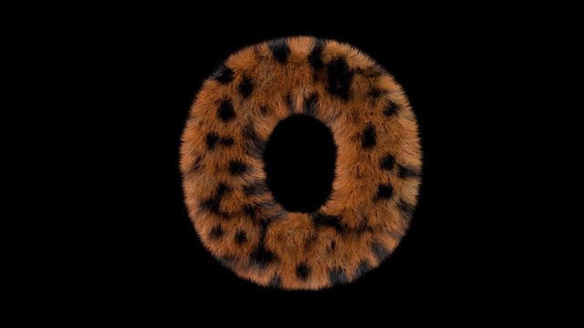 3d animated furry leopard typeface text with alpha channel  O
