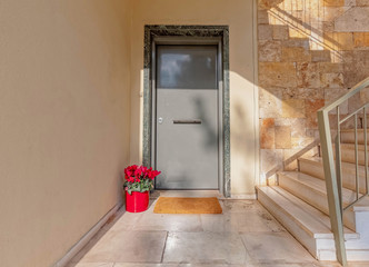 contemporary house entrance metallic grey door and flowerpot, Athens Greece